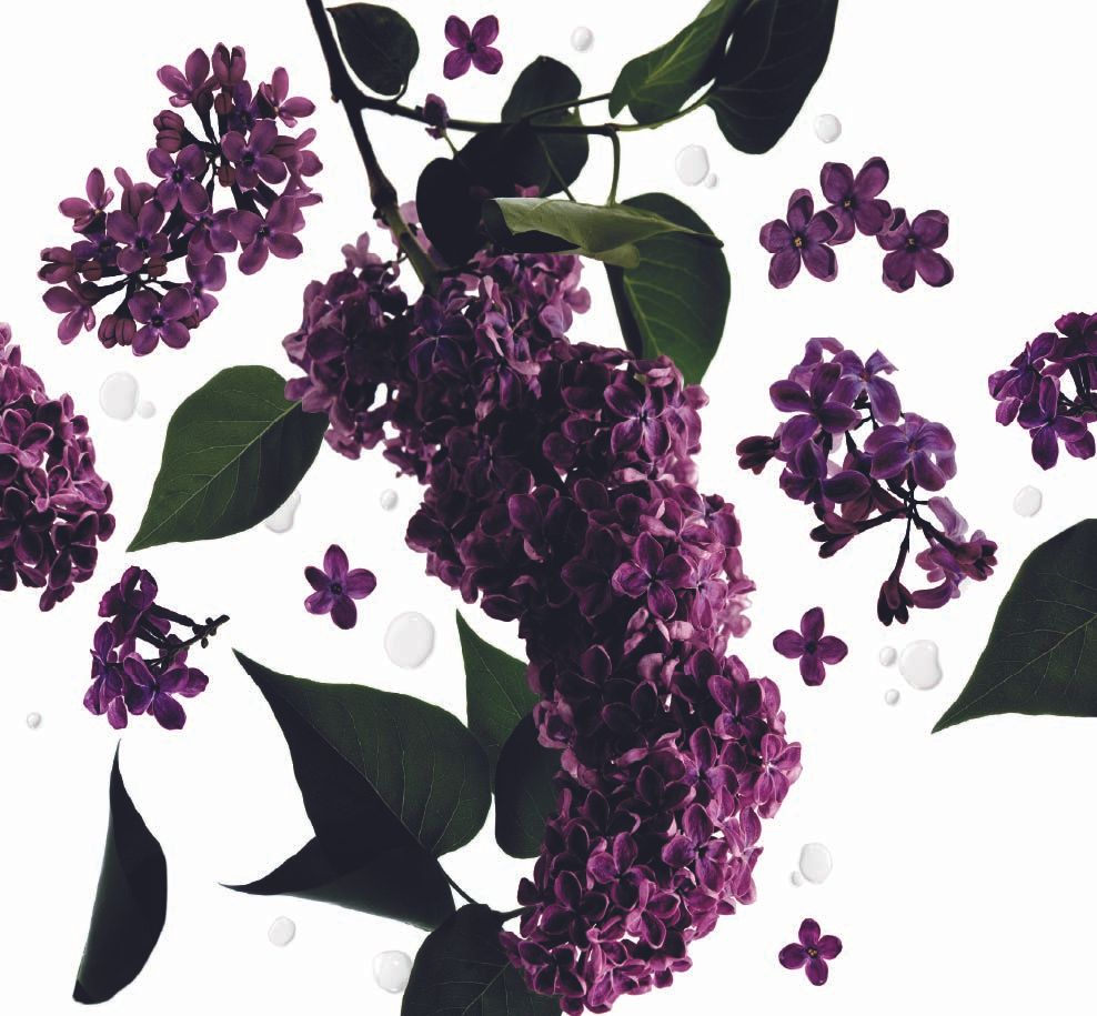 Product hover image:Soap