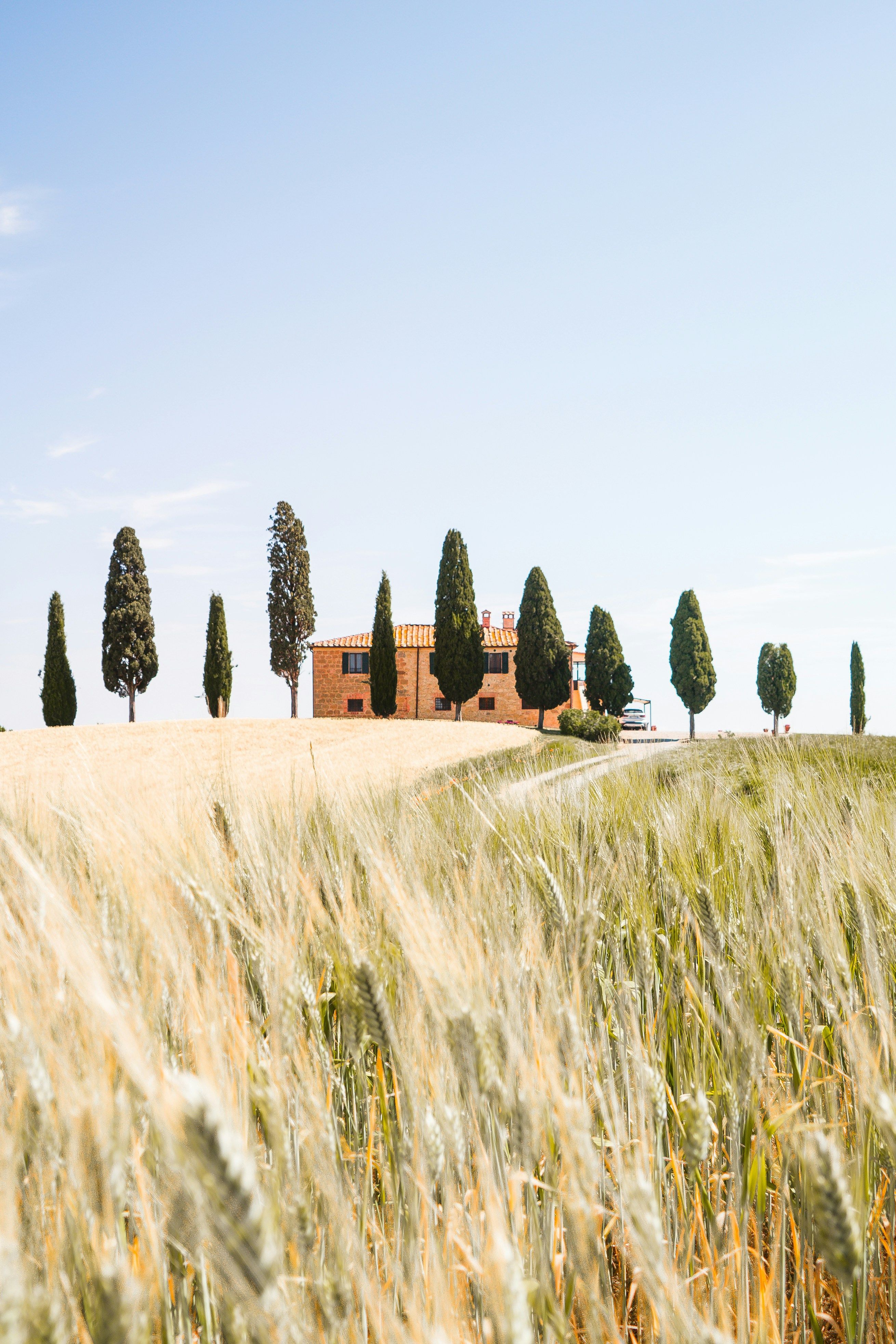 Immagine hover prodotto:Volata